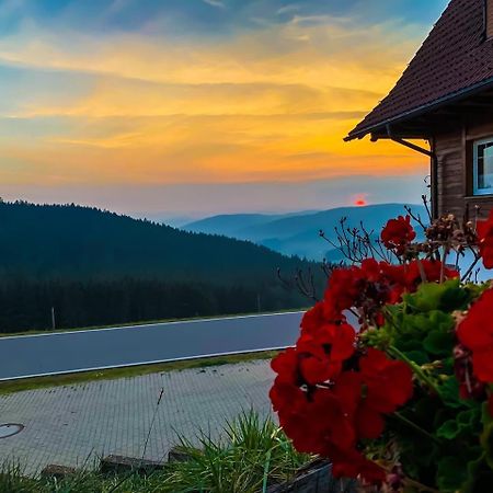 Pension Forsthaus Taele - Das Gaestehaus Vom Schwarzwaldgasthaus Salenhof Titisee-Neustadt Bagian luar foto