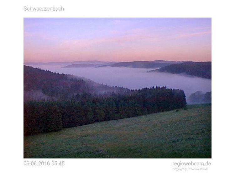 Pension Forsthaus Taele - Das Gaestehaus Vom Schwarzwaldgasthaus Salenhof Titisee-Neustadt Bagian luar foto