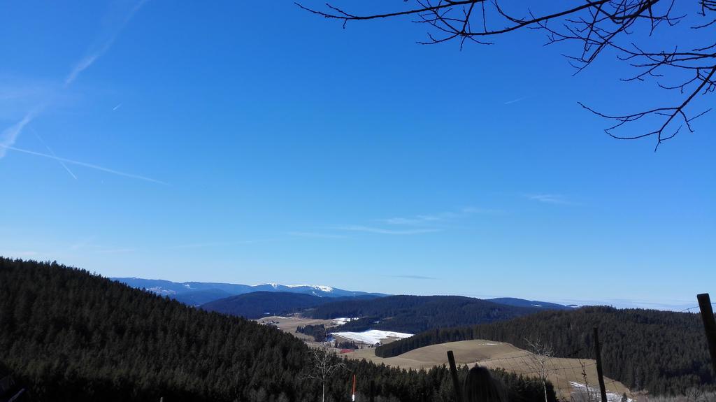 Pension Forsthaus Taele - Das Gaestehaus Vom Schwarzwaldgasthaus Salenhof Titisee-Neustadt Bagian luar foto