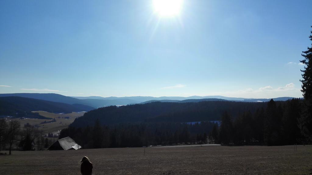 Pension Forsthaus Taele - Das Gaestehaus Vom Schwarzwaldgasthaus Salenhof Titisee-Neustadt Bagian luar foto