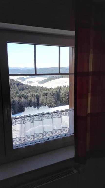 Pension Forsthaus Taele - Das Gaestehaus Vom Schwarzwaldgasthaus Salenhof Titisee-Neustadt Bagian luar foto