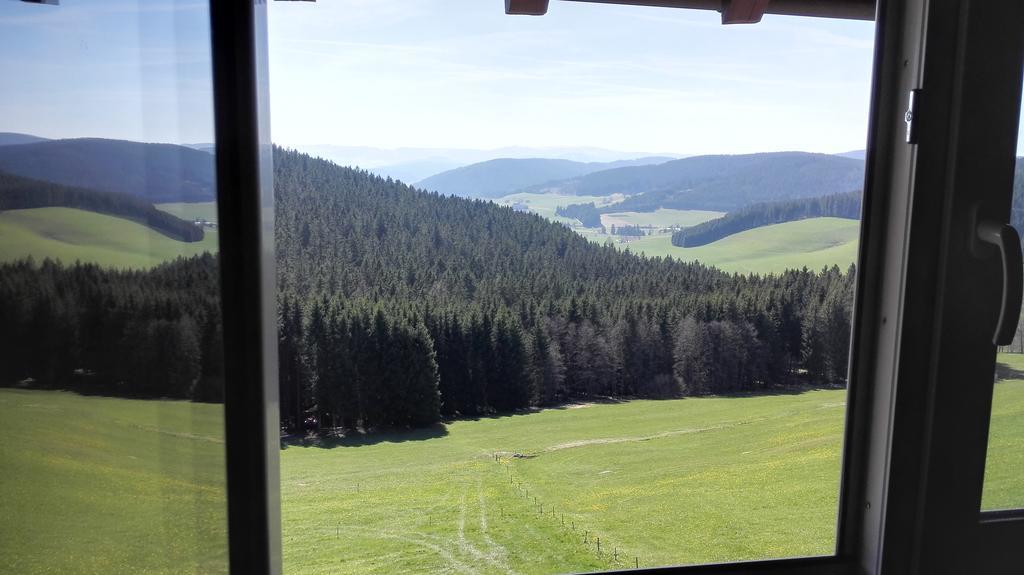 Pension Forsthaus Taele - Das Gaestehaus Vom Schwarzwaldgasthaus Salenhof Titisee-Neustadt Bagian luar foto