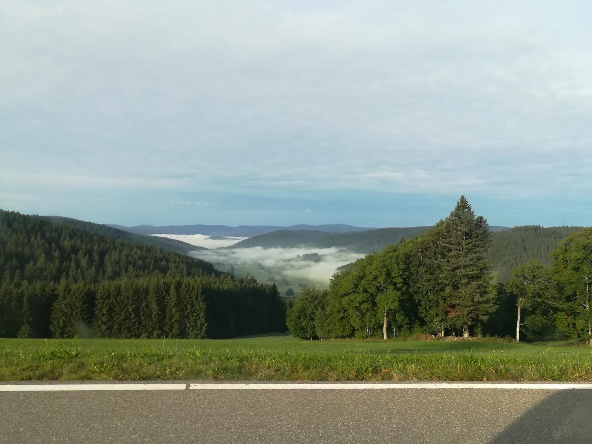 Pension Forsthaus Taele - Das Gaestehaus Vom Schwarzwaldgasthaus Salenhof Titisee-Neustadt Bagian luar foto
