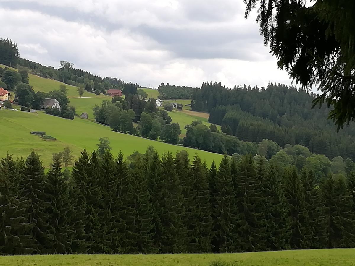 Pension Forsthaus Taele - Das Gaestehaus Vom Schwarzwaldgasthaus Salenhof Titisee-Neustadt Bagian luar foto