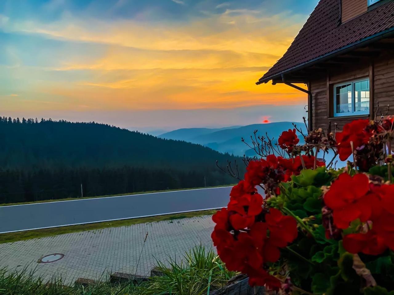 Pension Forsthaus Taele - Das Gaestehaus Vom Schwarzwaldgasthaus Salenhof Titisee-Neustadt Bagian luar foto